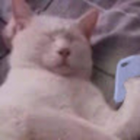 Meet your Posher, Lisa - Picture 1 of 1